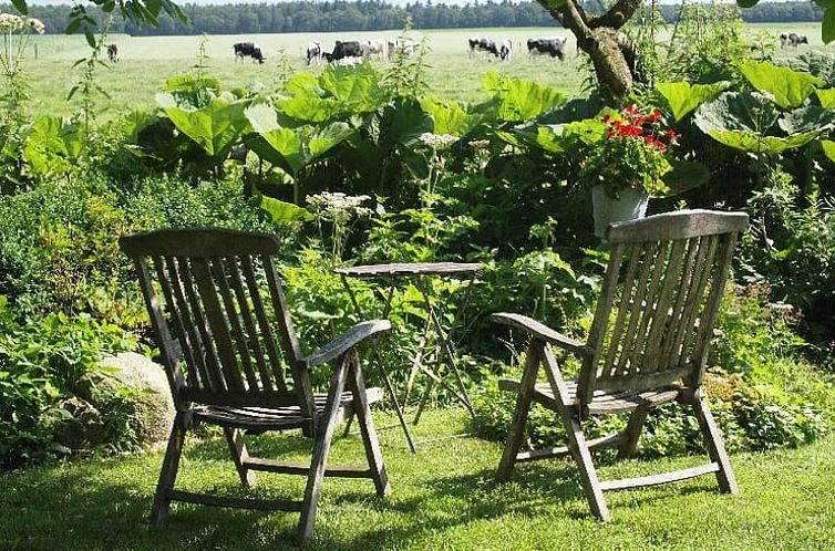 Vakantiehuis in Odoornerveen