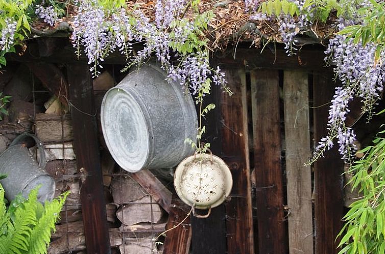 Vakantiehuis in Odoornerveen