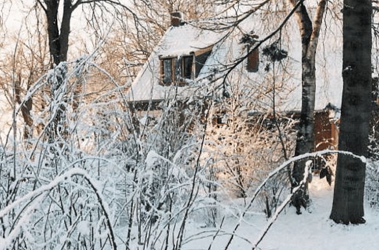 Vakantiehuis in Odoornerveen