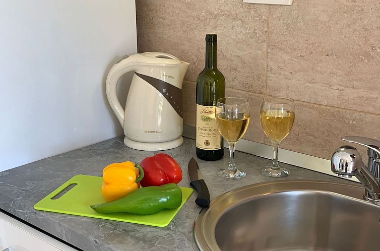 Appartement für 4 Personen ca. 45 m&sup2; in Budva, Adriak?