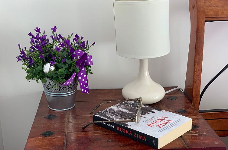 Appartement für 4 Personen ca. 45 m&sup2; in Budva, Adriak?