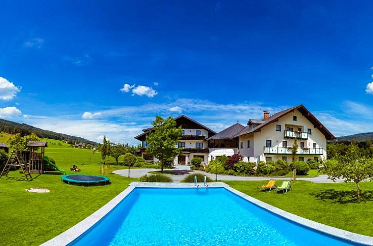 Guest house 19611310 - Apartment Oberosterreich - Pension Anna