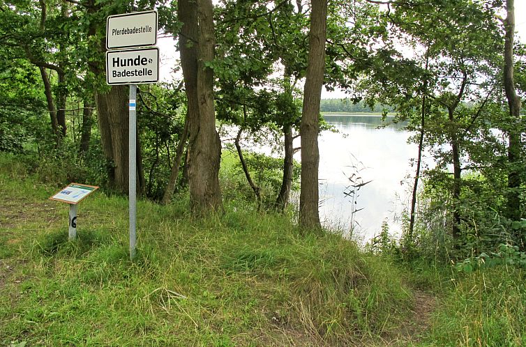 Vakantiehuis Goetheallee