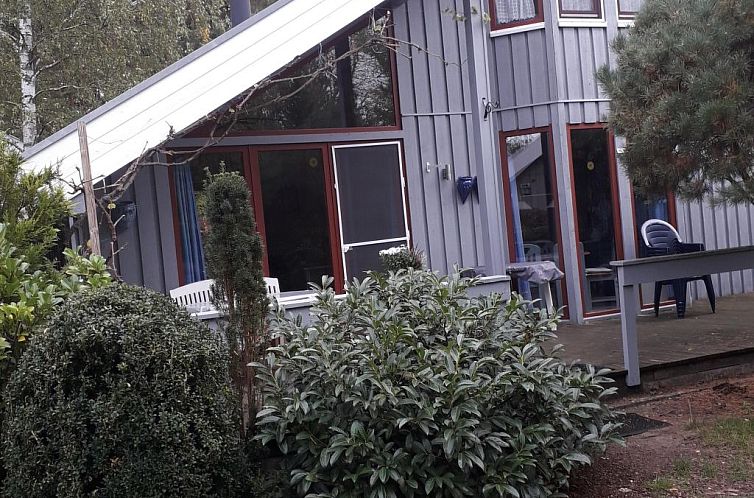 Guest house 1991004 - Holiday property Mecklenburg-Vorpommern - Vakantiehuis in Granzow mit Terrasse