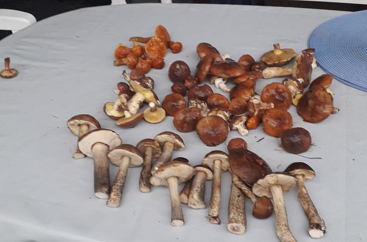 Vakantiehuis in Granzow mit Terrasse