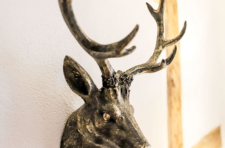 Appartement Friedrich-Wilhelm II