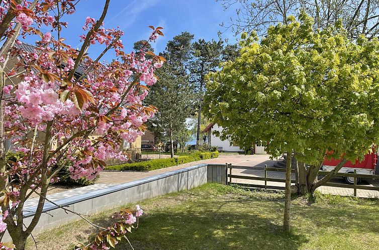 Vakantiehuis Müritz Ferienpark Röbel