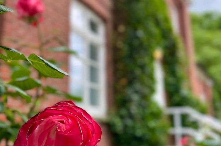 Vakantiehuisje in Putbus