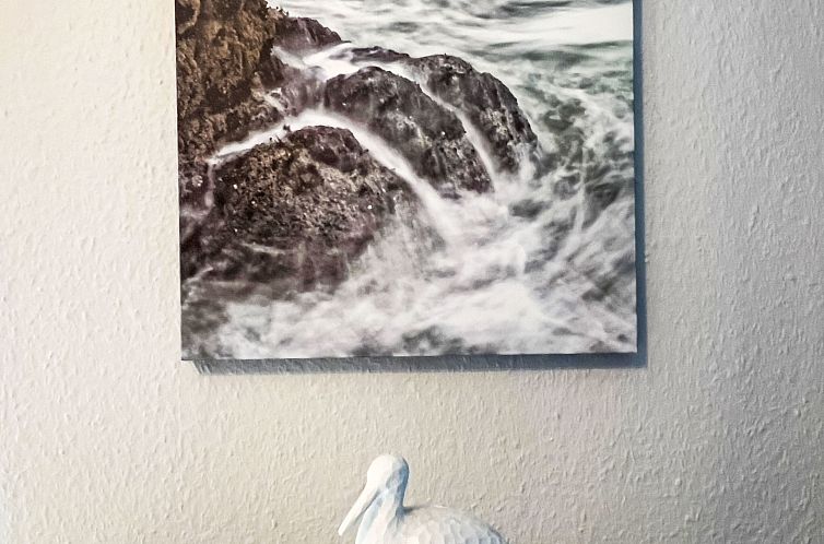 Vakantiehuis Möwennest