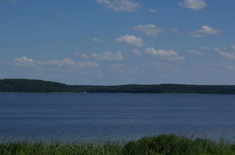 Appartement Haus Seeperle 1