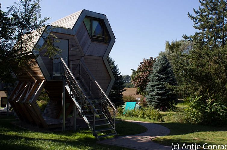 Bijzonder vakantiehuisje in Beckerwitz, Duitsland, met houten architectuur en groene omgeving.