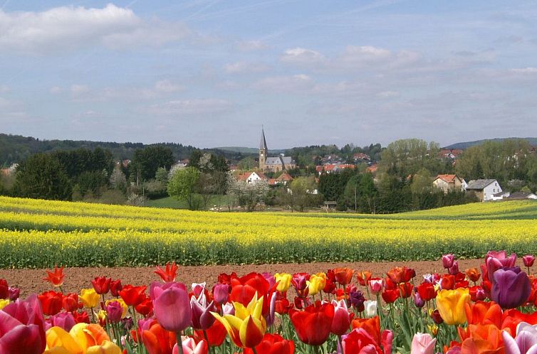 Appartement Ferienwohnung