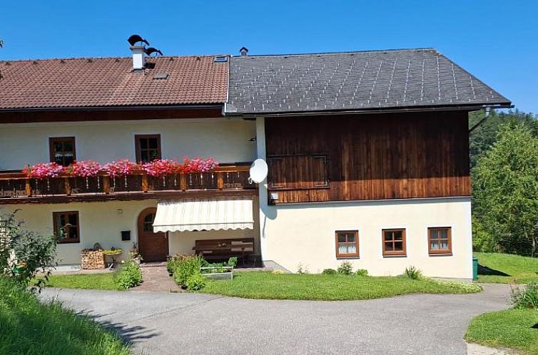 Unterkunft 20011305 - Appartement Salzburgerland - Ferienwohnung Löffelberger