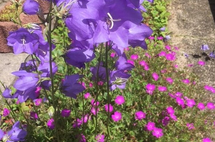 Huisje in Nohfelden-Türkismühle