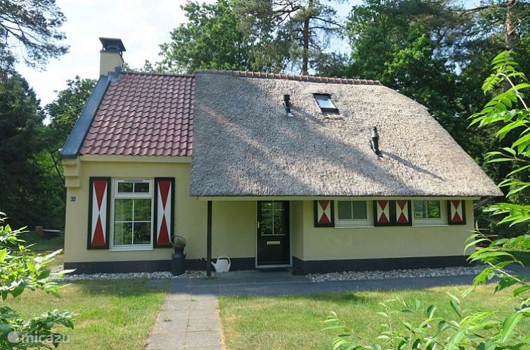 Charmant rietgedekt vakantiehuis Ons Wildryck huisje Hertenspoor66 Diever in de groene omgeving van Zuidwest Drenthe.
