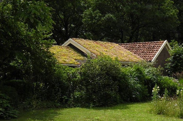 Cottage in Zuidwolde, Ferienhaus inmitten gruener Natur in Suedwest-Drenthe, Drenthe.