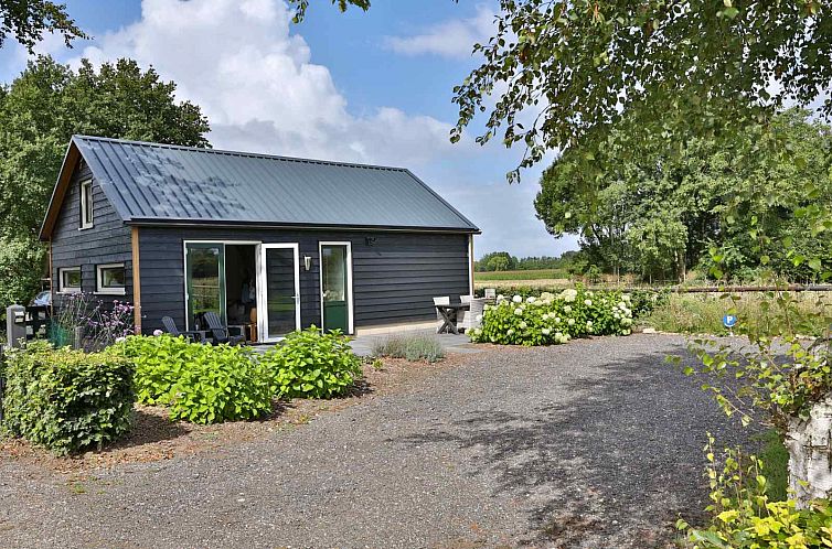 Ferienhaus DG1415 in Zuidwolde, Drenthe mit moderner Fassade und gruener Umgebung.