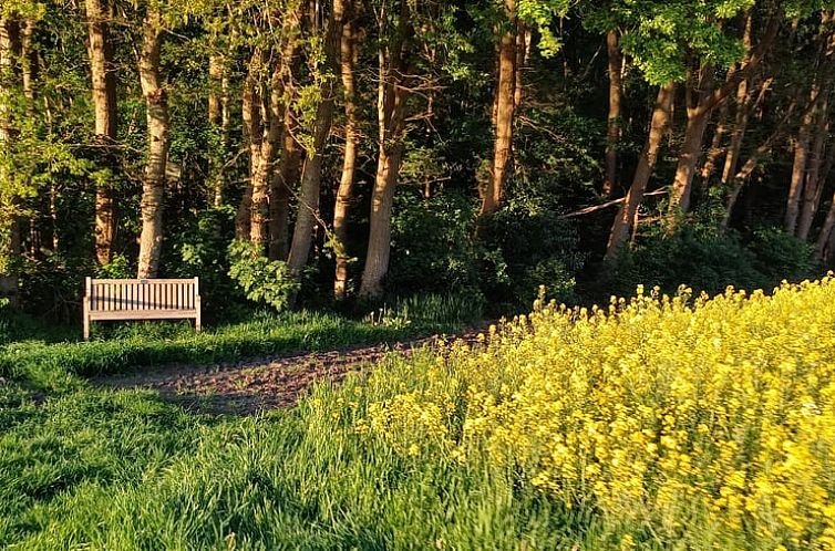 Vakantiehuis in Zuidwolde