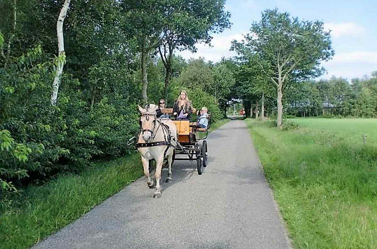 Gezellige vakantieboerderij voor 15 personen in Drenthe