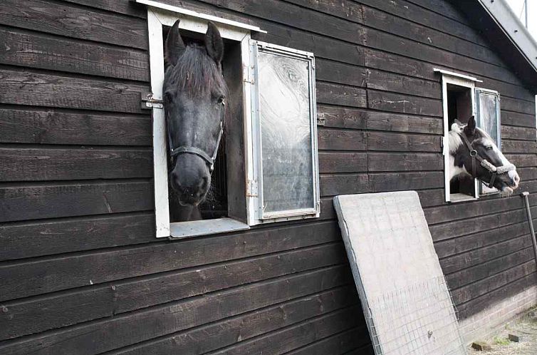 Gezellige vakantieboerderij voor 15 personen in Drenthe