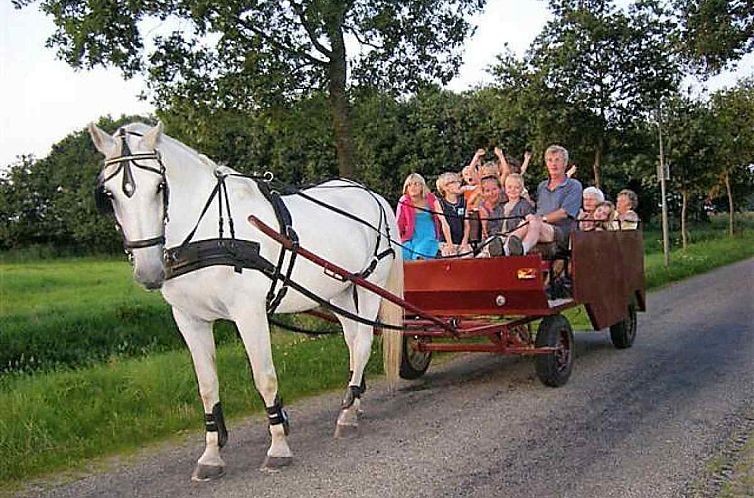 Gezellige vakantieboerderij voor 15 personen in Drenthe