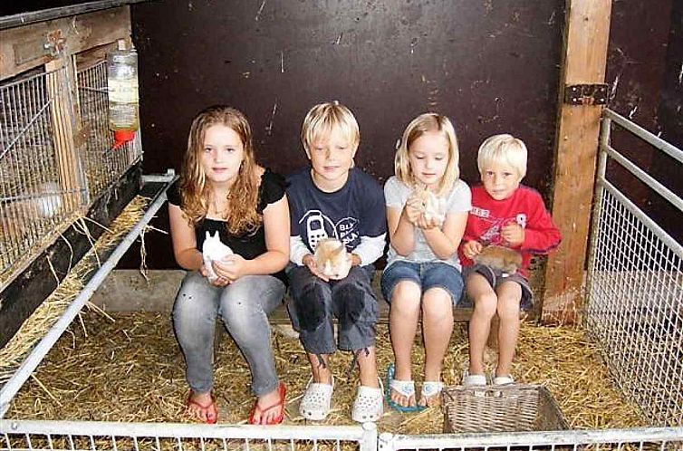 Gezellige vakantieboerderij voor 15 personen in Drenthe