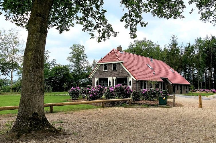 Cottage in Ruinen in Drenthe overlooking green surroundings and charming architecture.