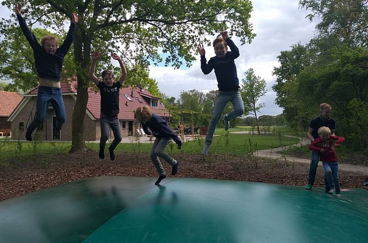 Vakantiehuisje in Ruinen