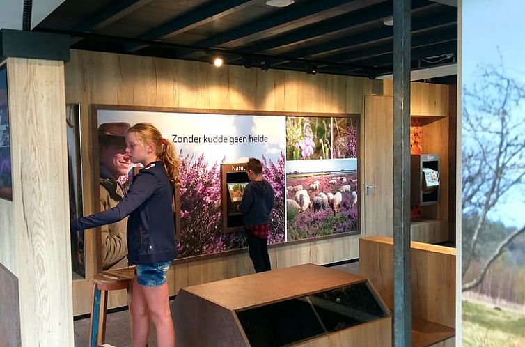 Vakantiehuisje in Ruinen