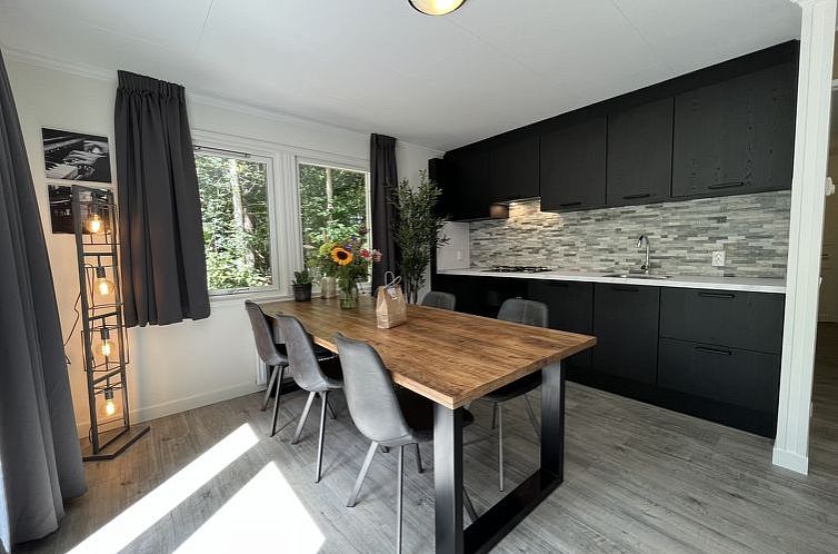 Vakantiehuis Fins Chalet
