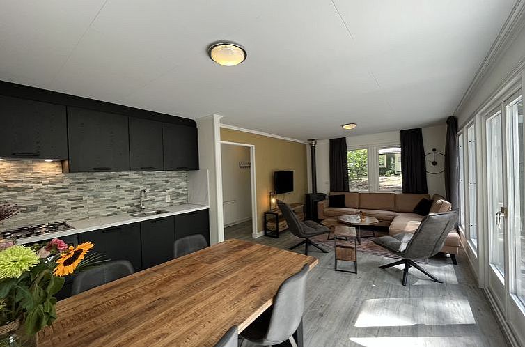Vakantiehuis Fins Chalet