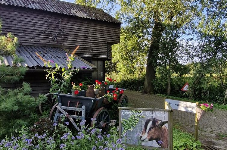 Vakantiehuisje in Ruinen