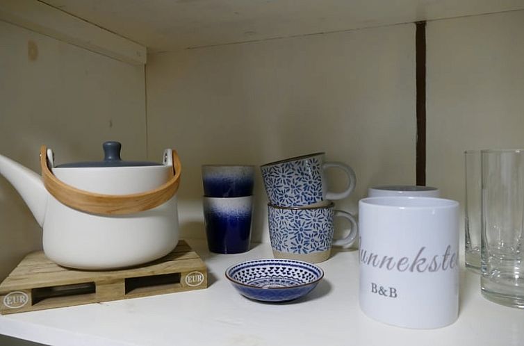 Vakantiehuis in Ruinen