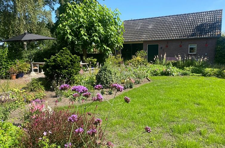 Vakantiehuis in Ruinen