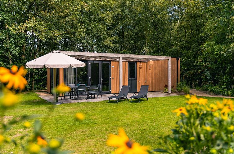 Cube Hottub 6 vakantiehuis in Ruinen, Zuidwest Drenthe biedt een ontspannend terras met ligstoelen en een groene tuin, omringd door natuur.