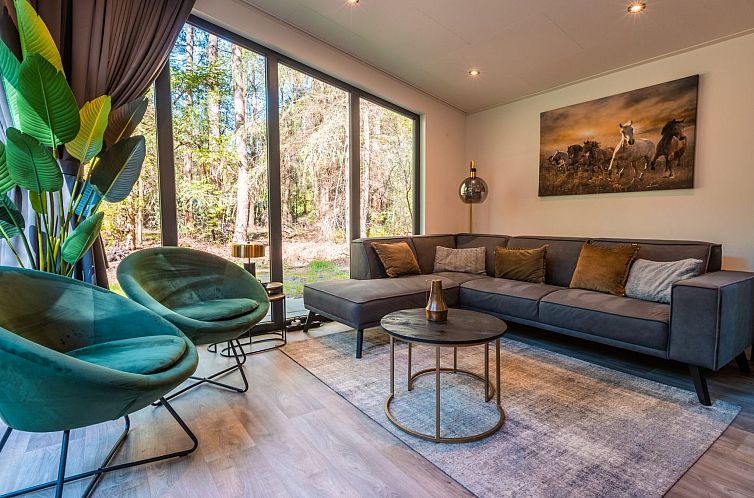 Vakantiehuis Vakantiepark De Wiltzangh - Zandborg Lodge 6p
