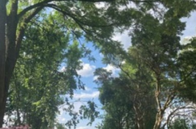 Huisje in Mandelbachtal