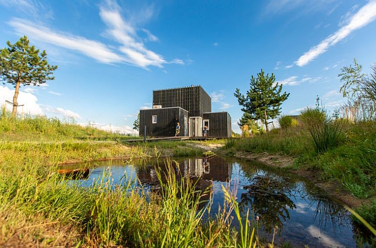 Vacation home in Wapserveen, Southwest Drenthe, overlooking pond and nature.