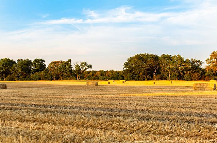 Vakantiehuis in Wapserveen