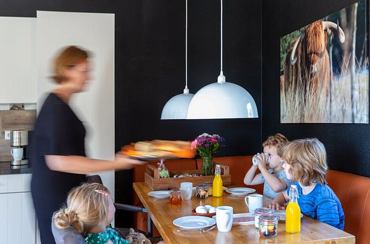 Vakantiehuis in Wapserveen