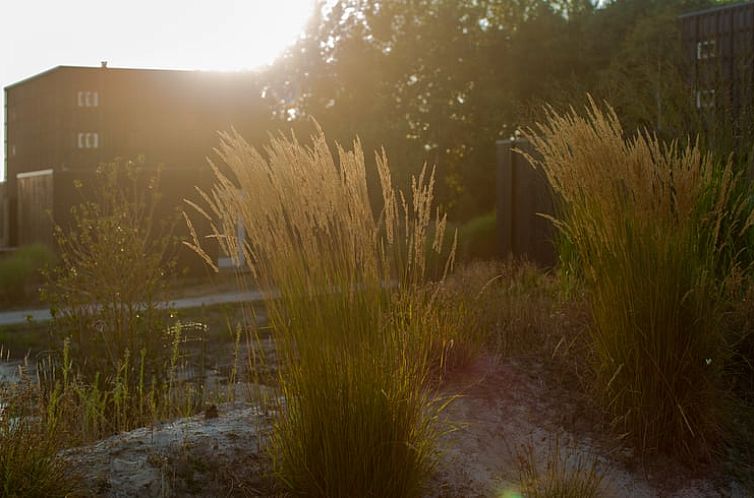 Vakantiehuis in Wapserveen