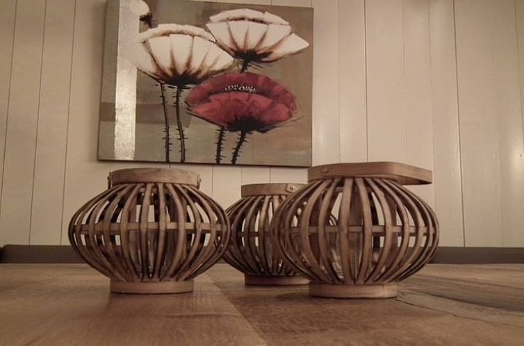 Vakantiehuis in Wapserveen