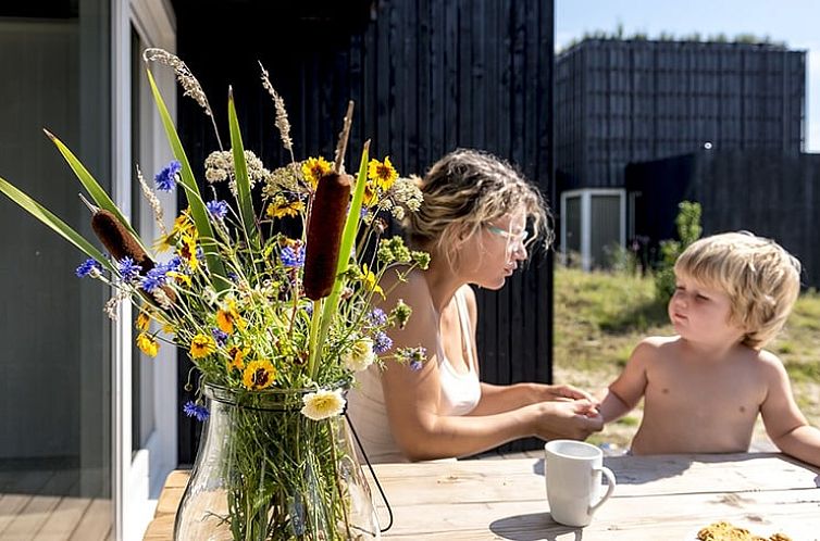 Huisje in Wapserveen