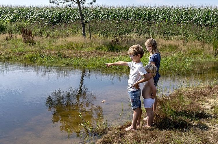 Huisje in Wapserveen