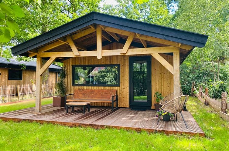 Vakantiehuis in Dwingeloo