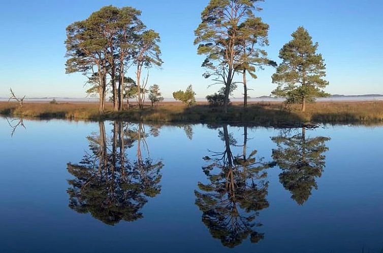 Vakantiehuis in Dwingeloo