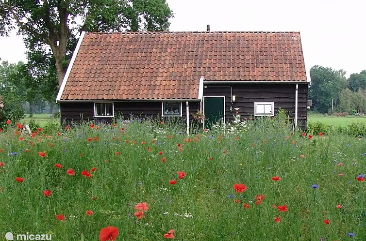 Unterkunft 2012127 - Ferienhaus Zuidwest Drenthe - 't Heerlijke huisje aan de wei