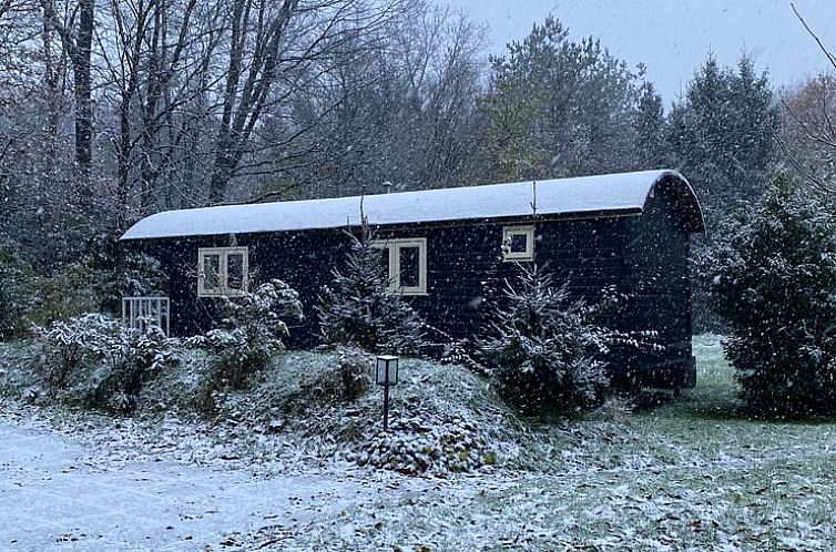 Vakantiehuisje in Dwingeloo