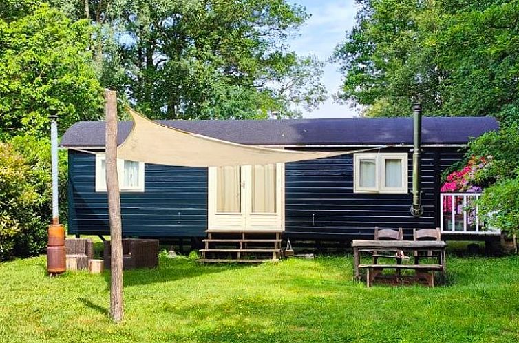 Vakantiehuisje in Dwingeloo