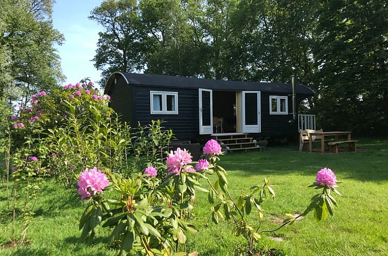Vakantiehuisje in Dwingeloo
